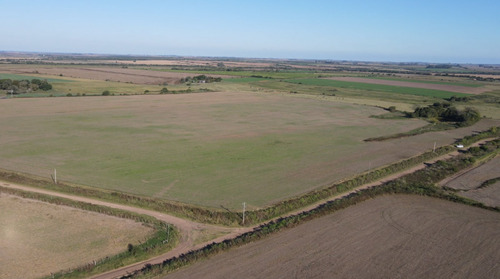 Campo Agricola De 21.5 Has En Corrales (antelo)