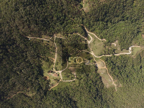 Imagem 18 de 21 de Terreno À Venda, 1000 M² Por R$ 155.000,00 - Varginha - Santo Amaro Da Imperatriz/sc - Te0161