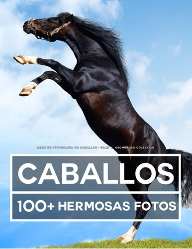 Libro De Fotografía De Caballos  Gran Y Asombrosa Colecci 