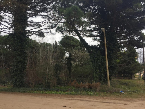 Lote En Zona Multifamiliar Industrial Comercial Y Artesanal