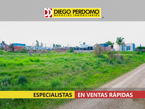 3 Terrenos Juntos O Separados En El Bosque, Libertad, En Venta