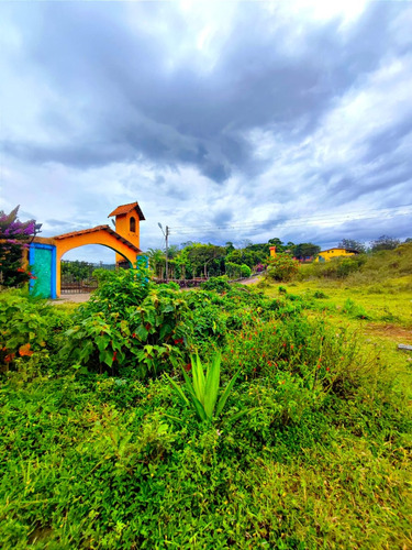 Parcela En Venta Topon Pasando Peribeca, San Cristóbal 