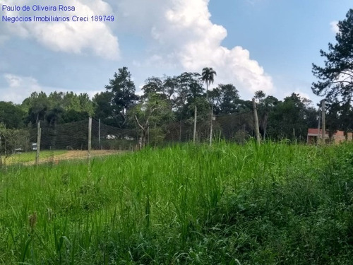 Imagem 2 de 17 de Terreno - Te00050 - 69320696