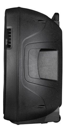 Parlante Pro Bass Street 15 portátil con bluetooth negro