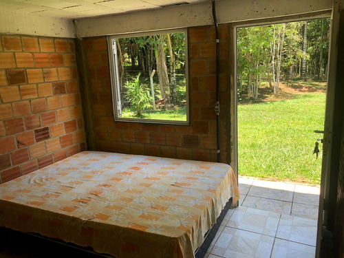 Imagem 4 de 14 de Vendo Casa Em Morretes Pr