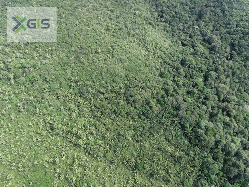 Imagem 7 de 14 de Fazenda À Venda, 2.019,2237 Ha Por R$ 1.600.000 - Br-308 - Mirinzal/ma - Fa0014