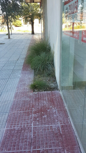 Imagen 6 de 8 de Local Comercial 5 Mts De Av Eden. La Falda, Córdoba.