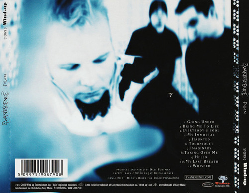 Cd Fallen (evanescence) Estándar