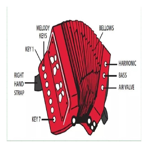 Sanfona Mini Acordeon Infantil 3 Baixos Gaita Vermelho