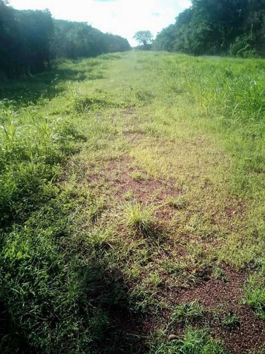 Imagen 13 de 26 de Finca En Venta ,calabozo Guarda Tinajas