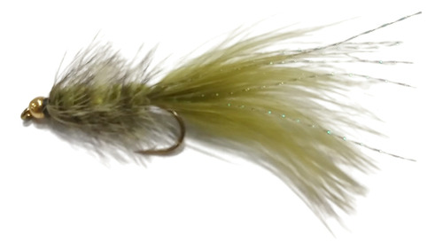 Mosca Woolly Bugger Fly