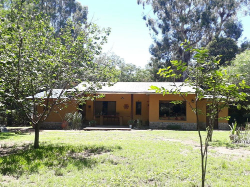 Imagen 6 de 14 de Terreno - Villa Del Parque