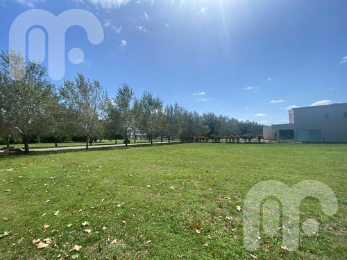 Imagen 4 de 5 de Terreno - Haras Del Sur Ii