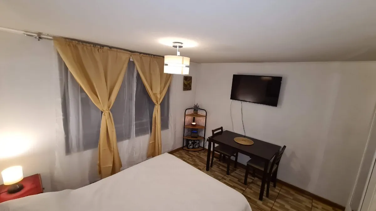 Imagen 2 de 4 de Arriendo Homestudio Amoblado En Santiago-excelente Ubicación