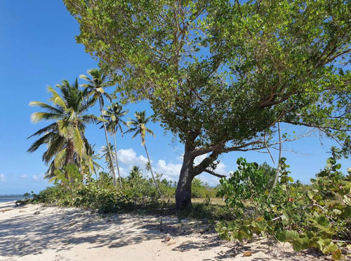 1,200,000m2 Un Paraiso Privado En Las Terrenas Samana