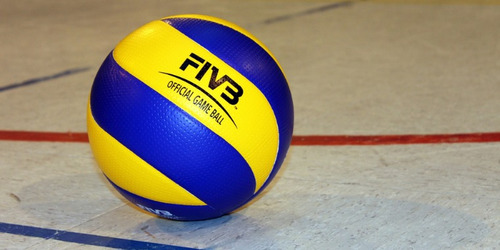 Imagen 2 de 4 de Pelota Volley Pro Deporte Entrenamiento - Sportex