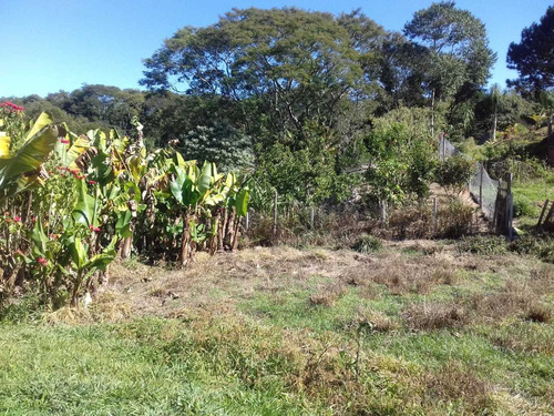 Imagem 10 de 11 de Chácara Com Pequena Casa 5 Km Do Centro