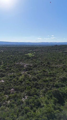 Campo En Venta En Nono, Los Algarrobos