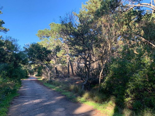 Imagen 9 de 12 de Lotes En Costa Del Este Cerca Del Mar Y La Reserva