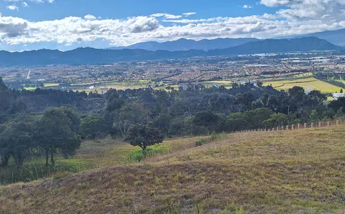 Lote En Venta En Vereda Yerbabuena. Cod V11970009