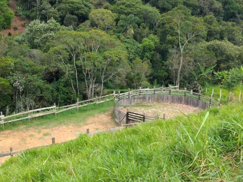 Imagem 4 de 17 de Sítio Com 1 Dormitório À Venda, 24000 M² Por R$ 380.000,00 - Verava - Ibiúna/sp - Si0167