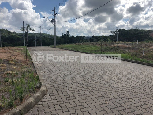 Imagem 14 de 21 de Terreno, 229.5 M², Campo Novo - 190370