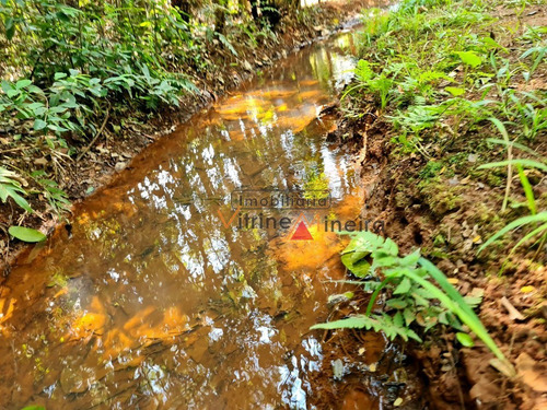 Imagem 6 de 14 de Chácara Em Santa Terezinha - Itatiaiuçu - 13624