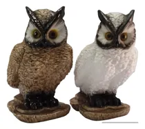 Comprar Kit Cu002F 2 Corujas Cofres Decoração Luxo Casa