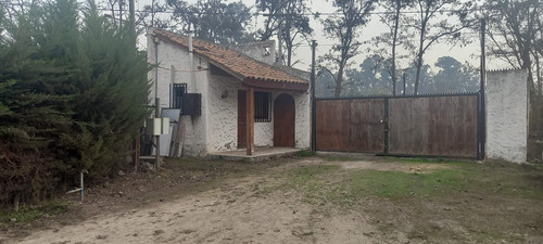 Casa Y Parcela +galpon En Peñaflor (8768)