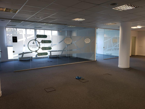 Imagen 14 de 30 de Oficinas En Alquiler En Plaza Roma