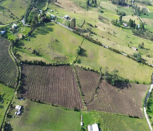 ¡espectacular Finca En Sibaté! 14 Fanegadas. Vía Pavimentada