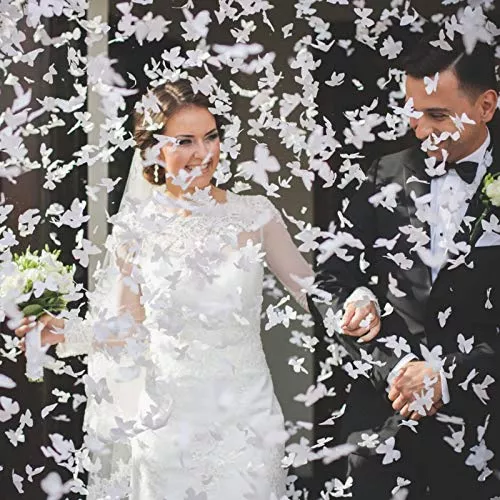 Cañon Confetti Biodegradable Blanco