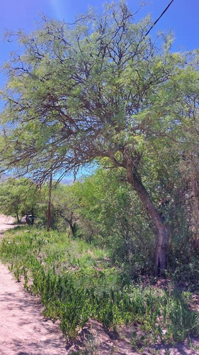 Imagen 10 de 13 de Venta De Terrenos En Villa De Las Rosas Traslasierra Cordoba