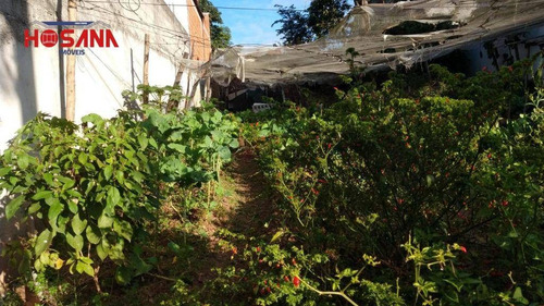 Imagem 5 de 6 de Lindo Terreno Em Laranjeiras - Te0434
