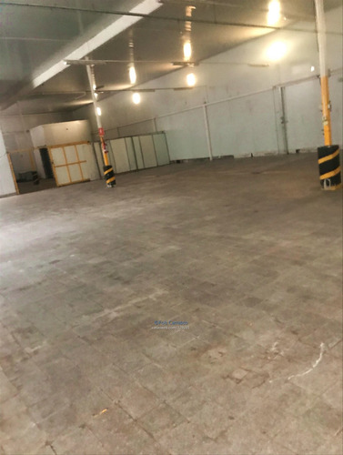 Imagen 6 de 8 de Local Industrial Depósito Logístico Disponible Flor Maroñas