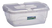 Comprar Caja Multiuso Organizador Plástico Tapa Trabas 10lt Plasmont