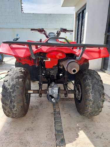 Imagen 6 de 15 de Suzuki Kingquad