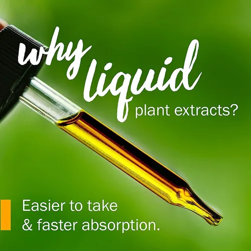 Extracto Líquido Orgánico Stoneroot Blend 30 Ml Apoyo Cardio