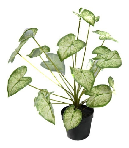 Planta Artificial De Calidad Caladio Caladium Blanco 50cm$sd