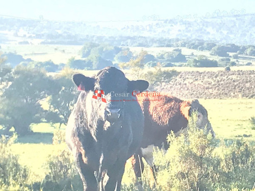 Imagen 18 de 30 de Venta - Chacra De 45 Has Muy Pintorescas En Villa Serrana
