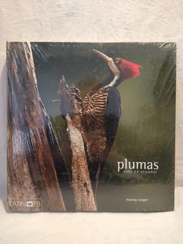 Plumas Aves En Ecuador Murray Cooper Latin Web B