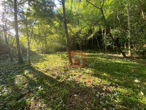 Imagem 1 de 1 de Terreno À Venda, 804 M² Por R$ 200.677,98 - Santo Inácio - Santa Cruz Do Sul/rs - Te0208