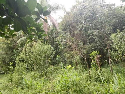 Chácara De 35.000m Tendo Uma Casa Simples