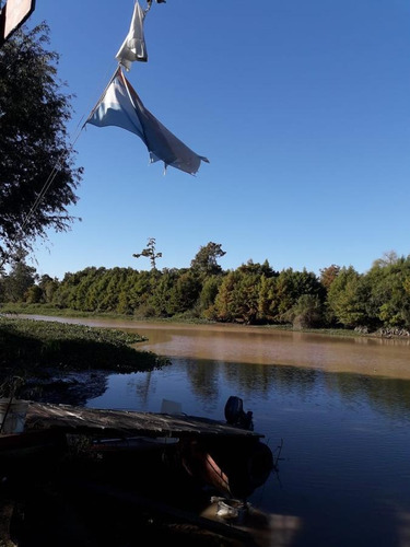 Imagen 7 de 9 de Quinta - Villa Paranacito