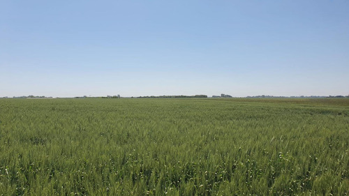 Imagen 9 de 15 de Campo En San Miguel Del Monte - 188 Hectáreas