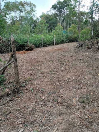 Imagem 2 de 15 de Lindo Lote - Bilt00168