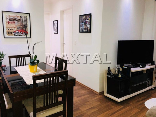 Imagem 3 de 15 de Oportunidade, Excelente Apartamento Na Vila Amélia. - Mi74068