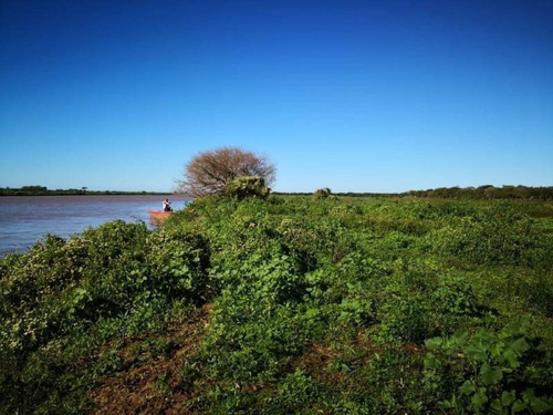 Imagen 29 de 29 de Campo De Isla Ganadero, 2.000 Has Sobre El Paranacito