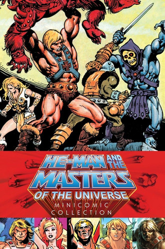 Colección De Minicómics De He-man Y Los Maestros Del