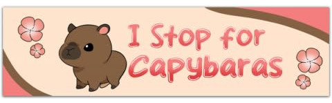 Capybara Bumper Sticker Funny Capybara Sticker Stickers For